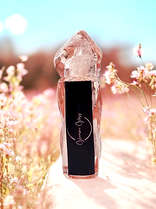 Peach Flavor Moisturizing Plump Long-lasting Lip Gloss